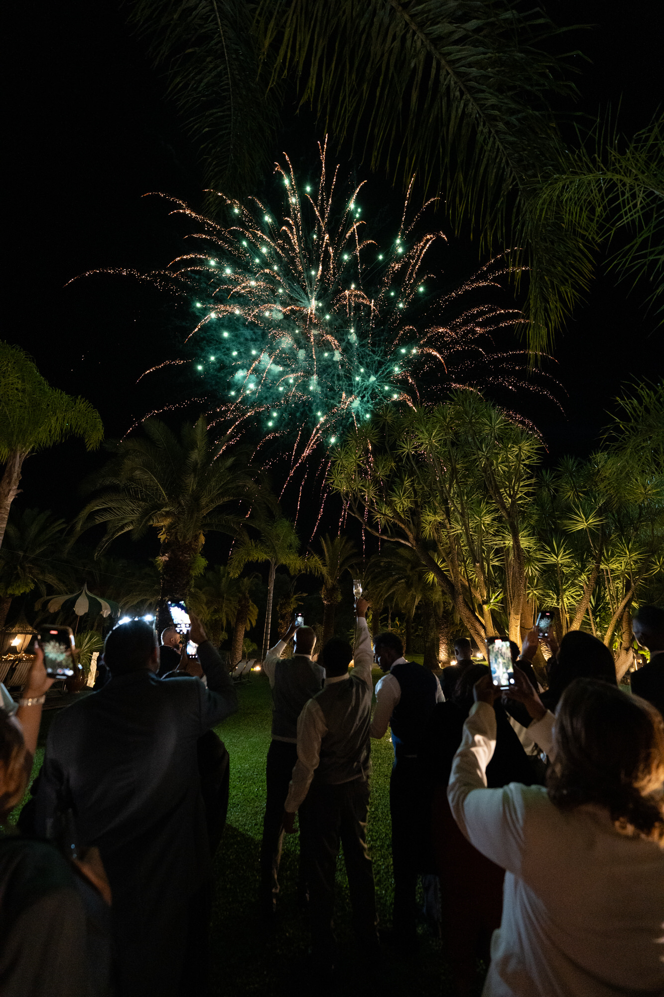 Fireworks lighting the sky above the palm trees as guests watch